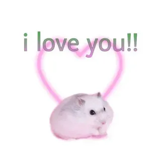🌟 i love you!! Hamster, Liebe, Herz, süß, Tier, Haustier telegram sticker