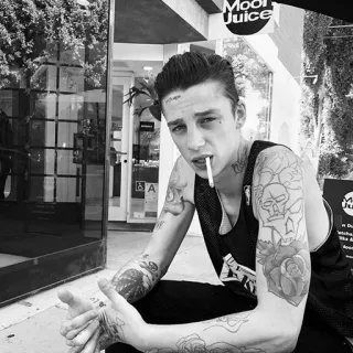 -[Ashley|Stymest]🌻 telegram stickers