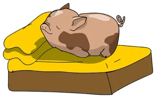 👍 cerdo, animal, dibujos animados, lindo, sofá, animal doméstico, ilustración whatsapp sticker