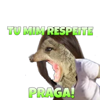 😠 TU MIM RESPEITE
PRAGA! animal, meme, engraçado telegram sticker