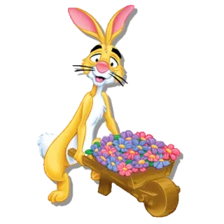 happy birthday whatsapp stickers