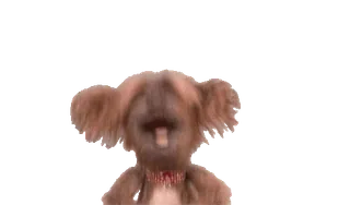 🐶 telegram sticker