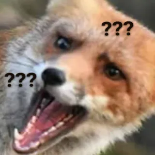 😧 ??? raposa, animal, pergunta, confuso, meme, engraçado telegram sticker