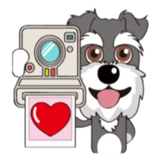 📸 perro, cámara, corazón, amor, fotografía, mascota telegram sticker