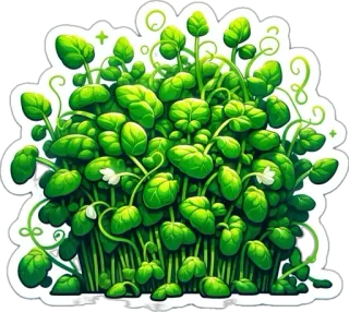 🌱 pianta, foglie, verde, natura, microgreens, germogli, giardino whatsapp sticker