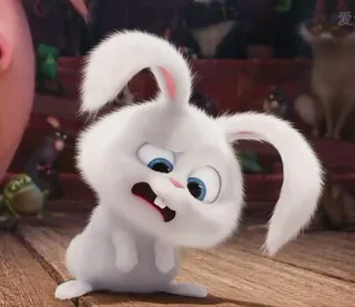 🐾 Snowball The Secret Life of Pets coniglio, coniglietto, bianco, cartone animato, carino, animale, animale domestico whatsapp sticker