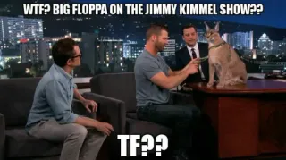🐱 Big Floppa Jimmy Kimmel Show WTF? BIG FLOPPA ON THE JIMMY KIMMEL SHOW?? TF?? Big Floppa, Jimmy Kimmel, Talkshow, Karakal, Katze telegram sticker