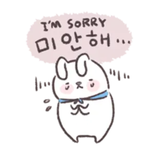 🐰 I'M SORRY
미안해... lindo, conejo, perdón, disculpa, kawaii, apenado, dibujos animados whatsapp sticker