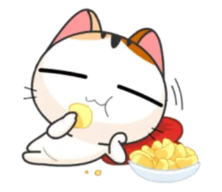 😋 cat, eating, chips, cute, snack, food telegram sticker