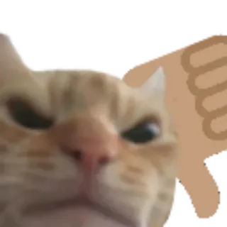 👎 cat, thumbs down, dislike, animal, meme whatsapp sticker