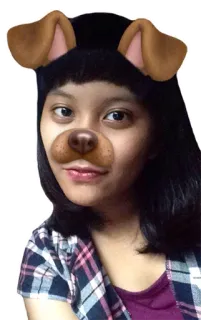 😜 Hund, Filter, Ohren, Gesicht, Selfie, Porträt telegram sticker