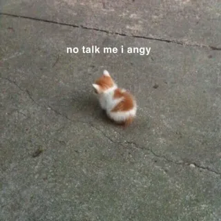 😒 no talk me i angy kätzchen, wütend, katze, meme, lustig telegram sticker