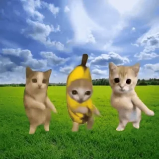 💃 banana cat banana cat meme whatsapp sticker