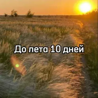 ☀️ До лета 10 дней verano, días, cuenta atrás, naturaleza, hierba, campo, sol, paisaje telegram sticker