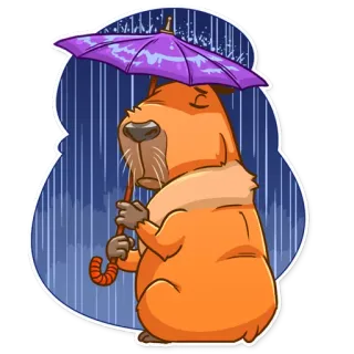 😔 คาปิบารา, ร่ม, ฝน, สัตว์, สติกเกอร์, น่ารัก, การ์ตูน telegram sticker