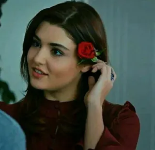 🌹 wanita, bunga, mawar merah, potret, berambut cokelat, Hande Erçel telegram sticker