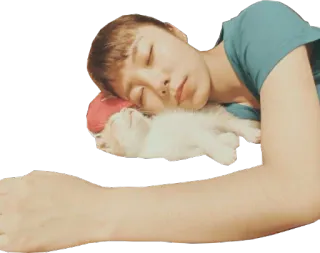 😴 tidur, orang, kucing, hewan peliharaan, bantal, istirahat, tenang, mimpi telegram sticker