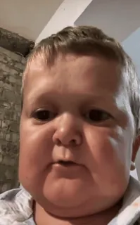 😨 Hasbulla child, internet meme, hasbulla magomedov telegram sticker