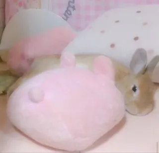 🌟 rabbit, bunny, pet, animal, cute, domestic animal whatsapp sticker