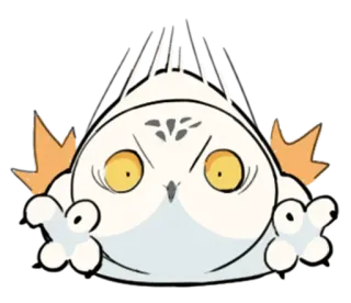 💨 hibou, en colère, oiseau, autocollant, dessin animé, mignon telegram sticker