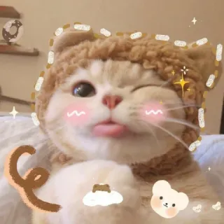 😜 cat, kitten, animal, cute, pet, bear hat, winking, tongue out telegram sticker