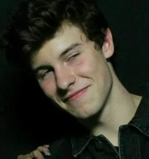 😏 Shawn Mendes shawn mendes, singer, musician, portrait, celebrity, person telegram sticker