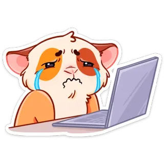 😭 criceto, piangendo, triste, portatile, cartone animato, animale, lacrime telegram sticker
