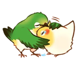 😩 pássaros, fofo, animais, amor, afeto, emoções telegram sticker