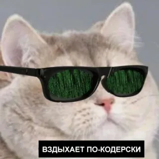 Вздох (@MrVeit) telegram stickers