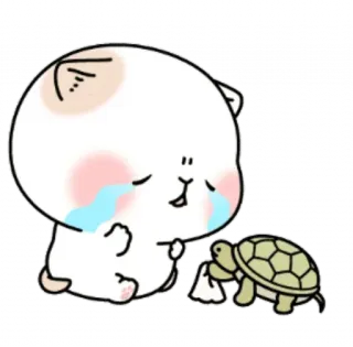 😭 chat, tortue, pleurer, triste, émotions, dessin animé, animal whatsapp sticker