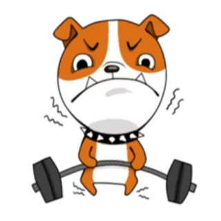 🏋‍♂ cane, bulldog, sollevamento pesi, esercizio, fitness telegram sticker
