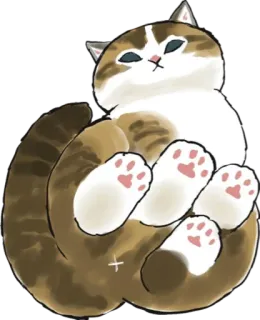 🍑 gato, fofo, animal, animal de estimação, gatinho telegram sticker