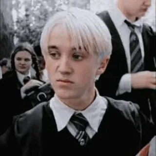🐾 Draco Malfoy Harry Potter 드레이코 말포이, 톰 펠튼, 해리 포터, 캐릭터, 영화, 마법사, 학생 telegram sticker