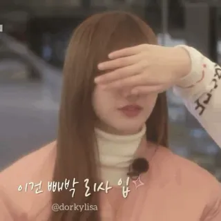 🎡 이건 쁘쁘빡 로사 입 orang, wanita, korea, potret, dorkylisa, k-pop, hiburan telegram sticker