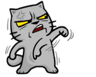 😐 Katze, wütend, Meme, Tier, Cartoon telegram sticker