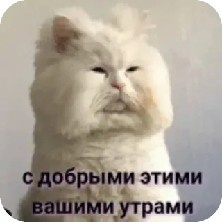 🥰 с добрыми этими вашими утрами whatsapp sticker