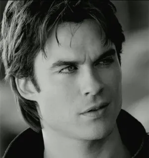 © Damon Salvatore The Vampire Diaries Vampir, Acara TV, Aktor, Ian Somerhalder, The Vampire Diaries, Damon Salvatore whatsapp sticker