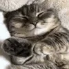 😴