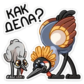 🙃 КАК ДЕЛА? pájaros, grulla, ¿cómo estás?, ruso, saludo, pregunta telegram sticker