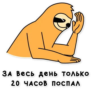 😣 ЗА ВЕСЬ ДЕНЬ ТОЛЬКО
20 ЧАСОВ ПОСПАЛ paresseux, fainéant, dormir, sieste, drôle, animal whatsapp sticker