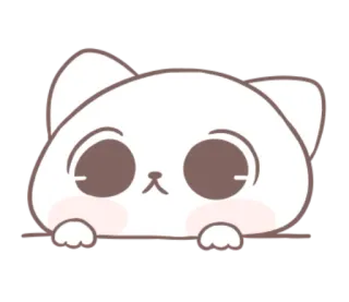 🐱 猫, 可爱, 动物, 卡哇伊, 宠物, 贴纸 telegram sticker