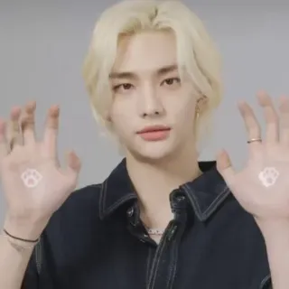 ☺️ orang, pria, potret, laki-laki, hyunjin, kpop telegram sticker