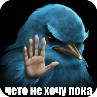 🐦‍⬛️ Twitter bird Twitter чето не хочу пока twitter bird, angry bird, stop gesture, no, rejection, disagreement, meme, blue bird telegram sticker