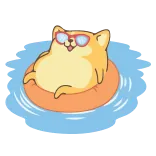 😌 doge, dog, pool, sunglasses, summer, cartoon, float, ring telegram sticker