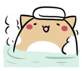 ♨️ chat, bain, mignon, animal, autocollant, dessin animé whatsapp sticker