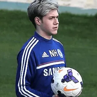 🌙 Niall Horan SAMSUNG Niall Horan, Fußball, Fußball, Sport, Sportler, One Direction telegram sticker