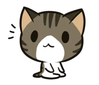 😯 แมว, ลูกแมว, น่ารัก, ลายเสือ, สัตว์, สัตว์เลี้ยง, การ์ตูน whatsapp sticker
