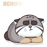 Беляш @emojivk telegram emojis 🥺