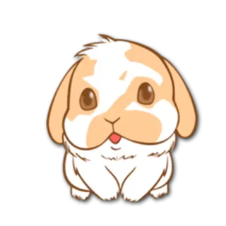 😃 ウサギ, うさぎ, 可愛い, 動物, ペット, 飼いうさぎ telegram sticker