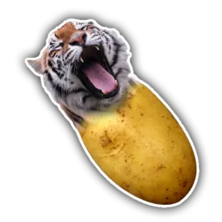 🐯 tigre, patata, animal, comida, gracioso, sticker, meme, híbrido whatsapp sticker
